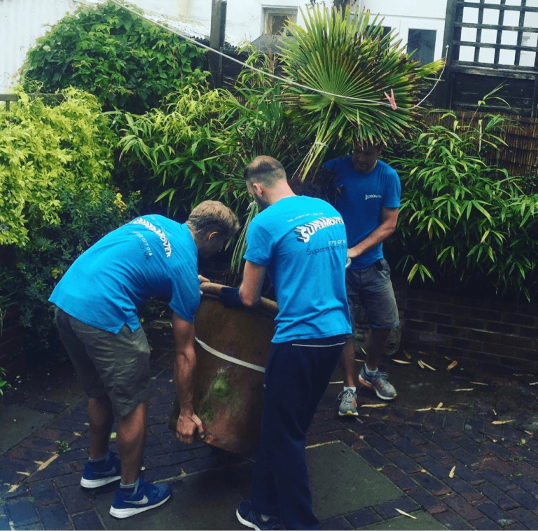 Three Supermover movers carrying a large potted palm through a garden
